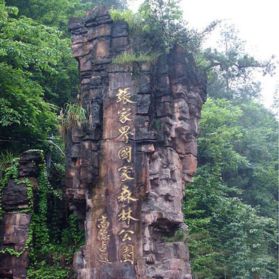 森林公園