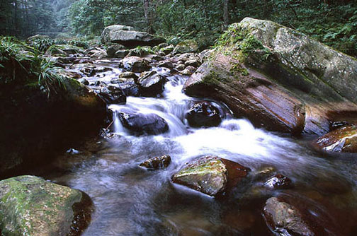 金鞭溪景區(qū)