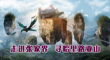  C5ҽԬҽҽ硢ɽռ