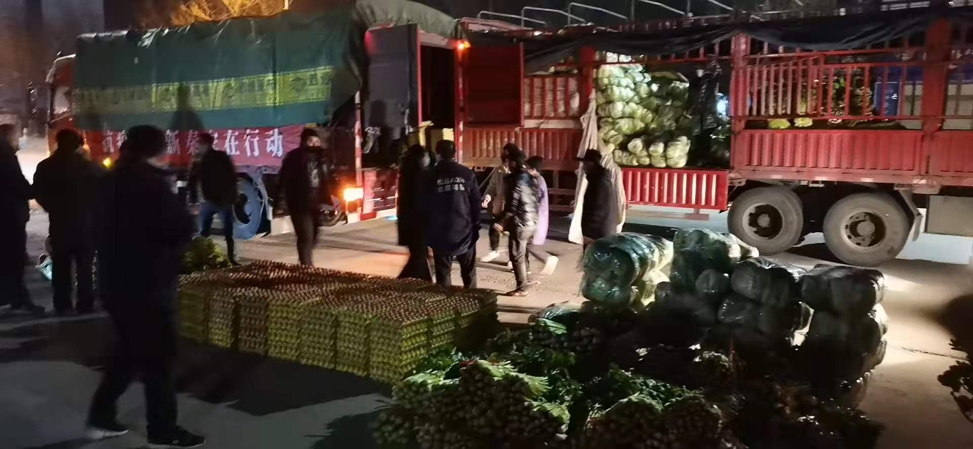 感謝黨和政府對(duì)我公司送來新鮮蔬菜，愿，國無恙，山河永固，加油，西安！